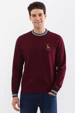 Buy Men Maroon Crew Neck Full Sleeves Casual Sweatshirt Online ...