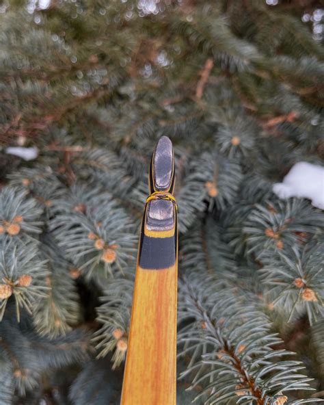 Image result for Java Man Archery