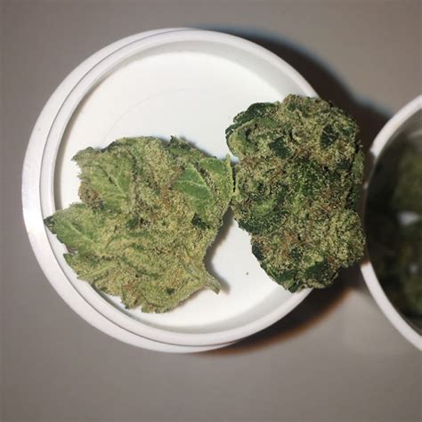 Strain Review: White 99 by GrowHealthy - The Highest Critic