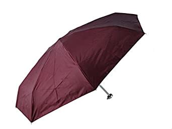Popy Nylon Folding Umbrella (Maroon_NANO) : Amazon.in: Bags, Wallets ...