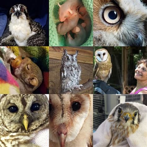 POSSUMWOOD ACRES WILDLIFE SANCTUARY (2024) All You Need to Know BEFORE ...