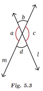 NCERT Solutions for Class 7 Maths Chapter 5 Parallel and Intersecting Lines