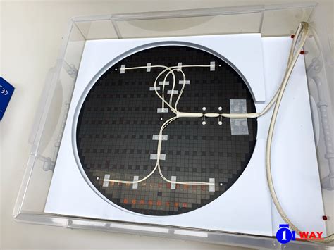 T7code Wafer 的图像结果