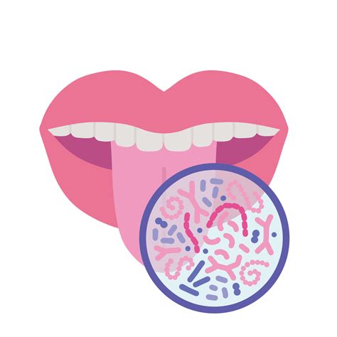 Oral microbiome concept. Healthy probiotic bacteria in human mouth ...