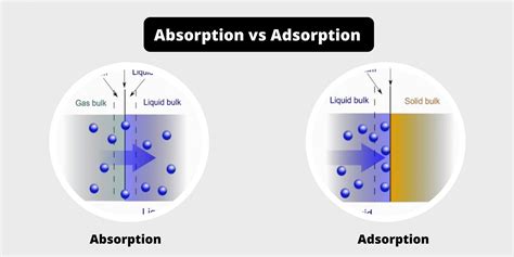 Image result for Science of Absorption