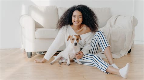 Your Guide to Pet-Proof Flooring - Ted’s Floors & Beyond