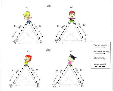 Influence of Verbal Behavior Training on Performance for Sustainable ...