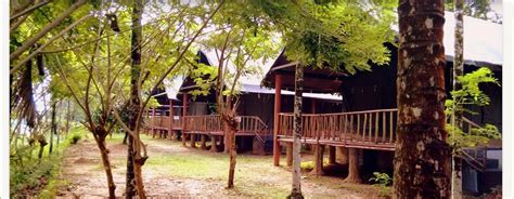 Best Tents and Trekking Camps in Kerala - Experience Kerala