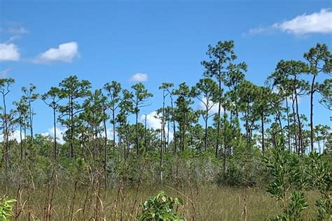 Everglades Institute - Homestead | Tripadvisor