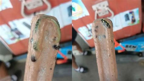 'Deadly Dessert': Thai Man Finds Frozen Snake In Ice Cream Bar ...