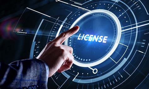 Image result for Software License Issues