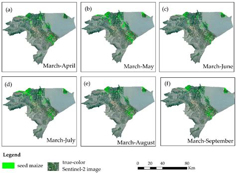 Early Identification of Seed Maize and Common Maize Production Fields ...