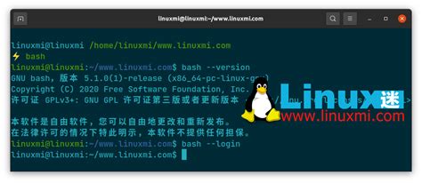 How U Get to Linux Shell 的图像结果