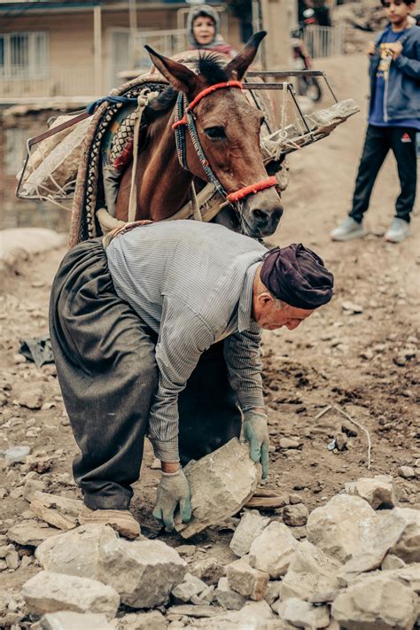 Image result for Java Kurd