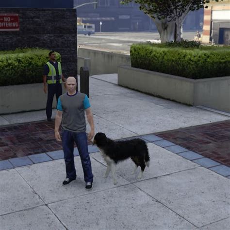 How to Put K9 Script In 的图像结果