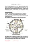 1 Notes unit-2 BJT and FET - BIPOLAR JUNCTION TRANSISTOR (BJT ...