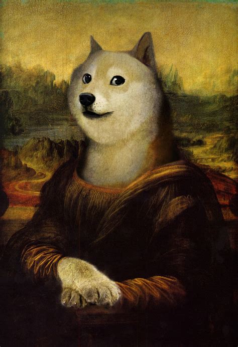 [100+] Doge Meme Wallpapers | Wallpapers.com