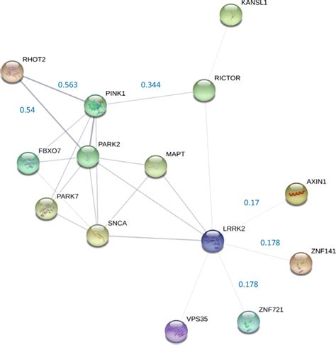 Image result for STRING Protein Interactions