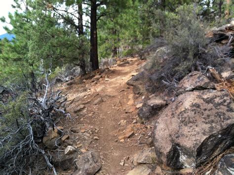 Peterson Ridge Loop Mountain Bike Trail in Sisters, Oregon - Directions ...