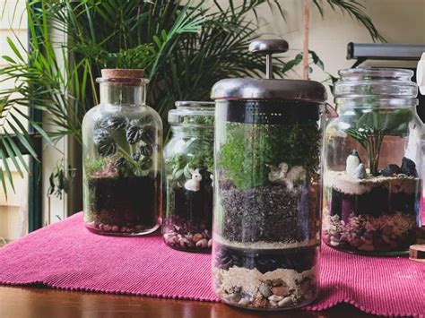 Image result for Terrarium Making111