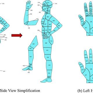 Image result for Interactive Body Map JavaScript