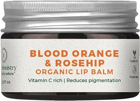 10 Best Lip Balms for Dark Lips in India [January, 2024]