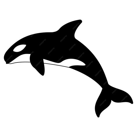 Premium Vector | Orca orcinus orca whale killer in cartoon style icon