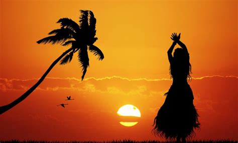 Hawaiian Culture 的图像结果