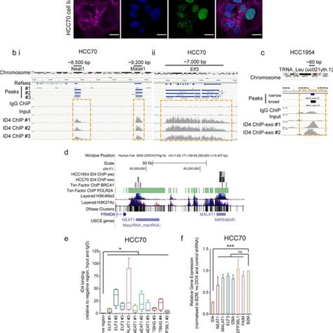 Image result for TaqMan Assay Signal Image Graph