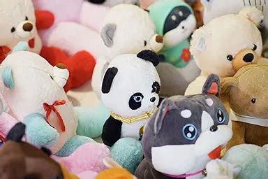 Teddyera : A Premium Indian Brand Dedicated To Teddy Bears