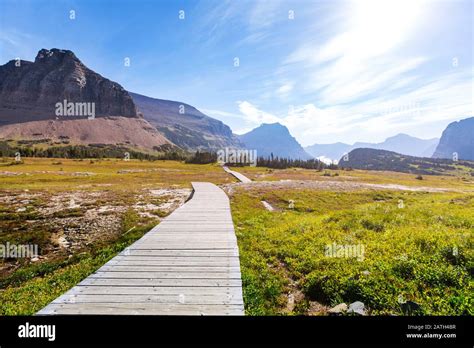 Image result for Sample Outline Example