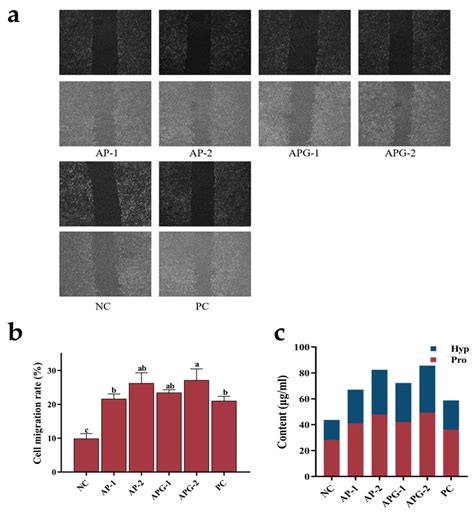 Strategies to Improve Hydrolysis Efficiency of Fish Skin Collagen ...