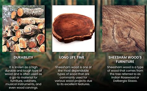 RAMA HANDICRAFT Solid Sheesham Wood Sofa Set for Living Room|Sofas ...