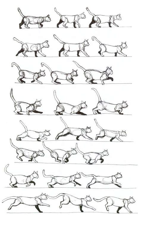 cat drawing running