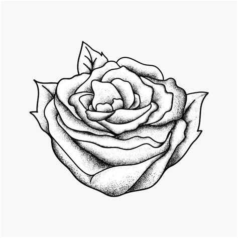 Tatuagem Rosa Imagens – Download Grátis no Freepik
