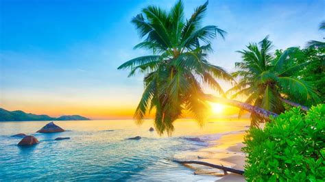How to Get a Travel Visa to Seychelles? Indian Travelers Guide