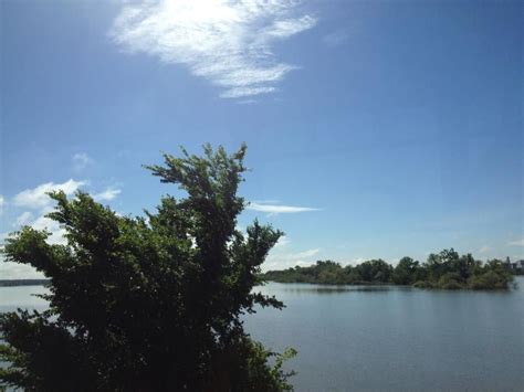 Image result for Tennessee River Decatur Al