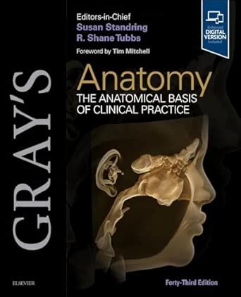 Buy GRAYS ANATOMY 43ED (HB 2026): The Anatomical Basis of Clinical ...