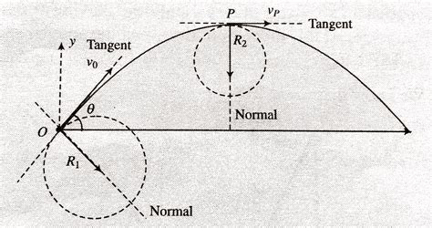 A particle is projected at angle `theta` with horizontal with velocity `v_0 at t = 0`. Find (a ...