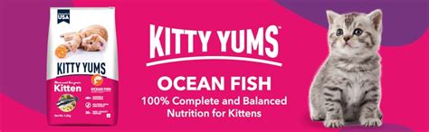 Kitty Yums Kitten(1-12 Months) Dry Cat Food, Ocean Fish, 7kg Pack ...