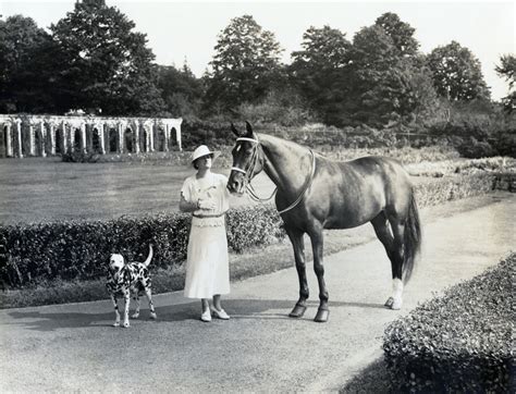 W.F. Young Inc. - masslive.com