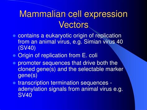 Image result for Mammalian Expression Vector