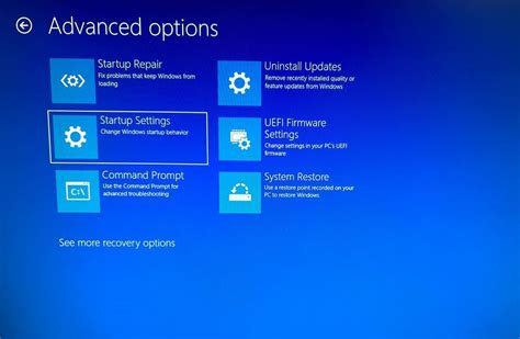 Advanced Options Troubleshoot 的图像结果