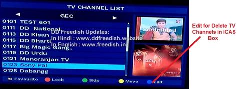 How to delete TV channels in DD Free dish Set-Top Box?