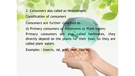 Conservation 的图像结果