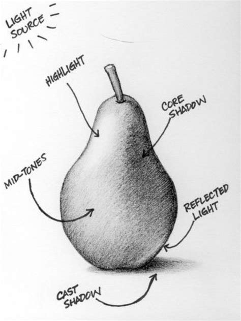 Shading Basics 的图像结果