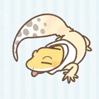 Image result for Read Python