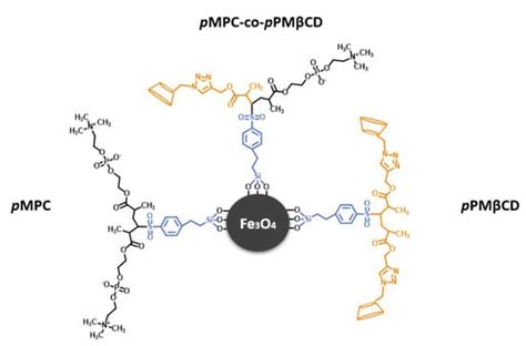 Hemocompatibility of β-Cyclodextrin-Modified (Methacryloyloxy)ethyl ...