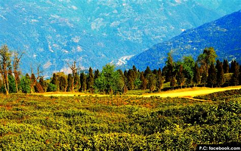 An Eternal Beauty of Ravangla-That’ll give Actual Glimpse of Sikkim’s ...