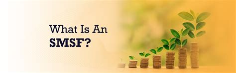 SMSF Insurance 的图像结果